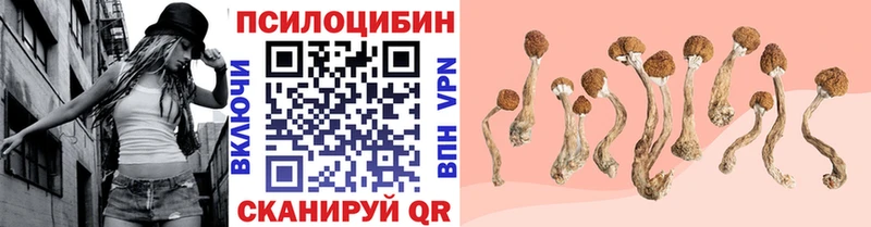 Купить где  Ростов-на-Дону  Галлюциногенные грибы GOLDEN TEACHER 